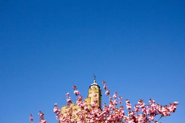 istock St Nicholas Church in Sevenoaks, England 900400556