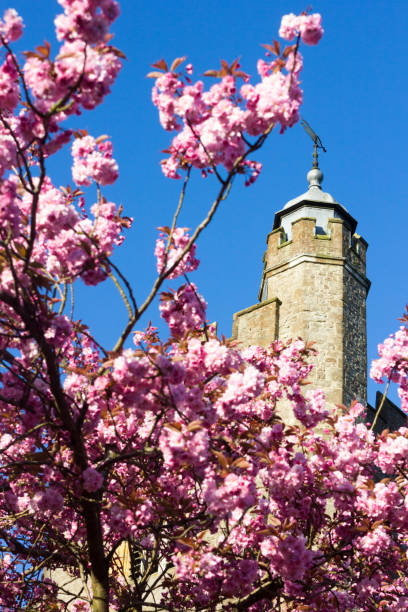 istock St Nicholas Church in Sevenoaks, England 900400714