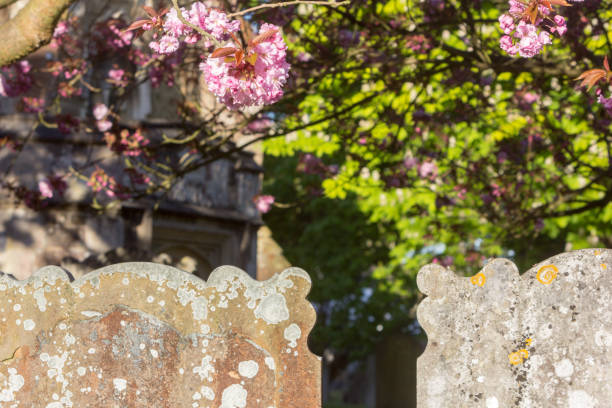 Rose on tombstone. White  roses on grave. Love - loss. Flower on memorial stone close up. Tragedy and sorrow for the loss of a loved one. Memory. Gravestone with withered rose