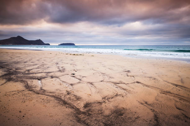 istock Sandy beach landscape in early morning 900403720