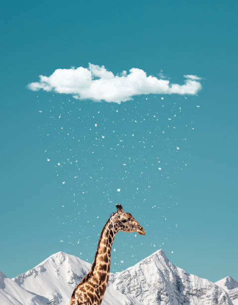 istock I'm Sure I Don't Belong Here 900404092