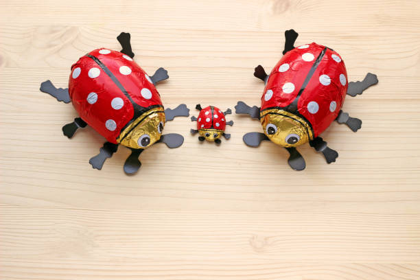 small family of chocolate ladybugs on bright wood