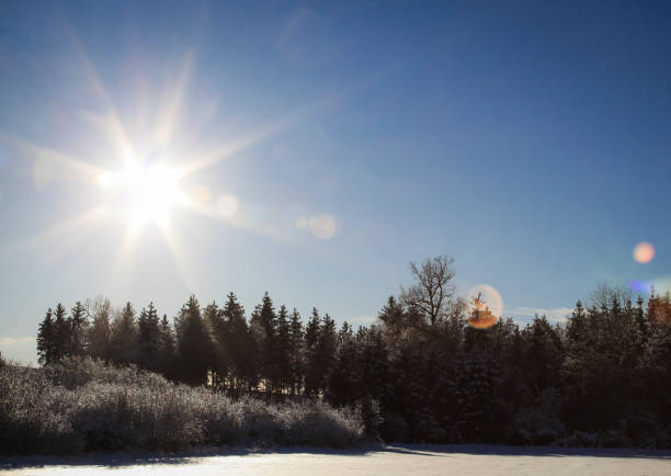 A ski slope with blue skies and fresh snow.