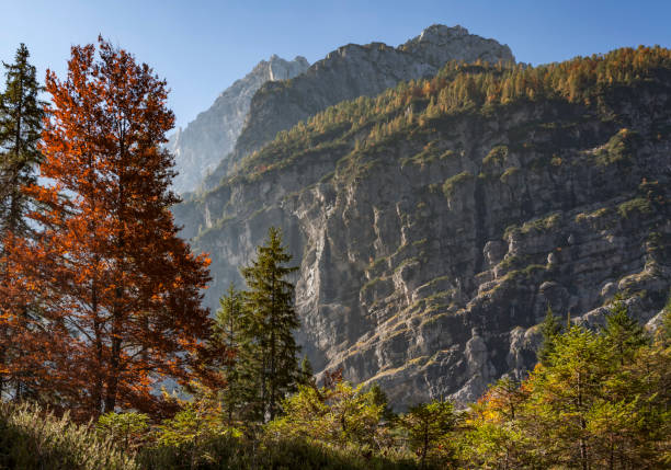 istock Autumn in pisnica - valley 900413210