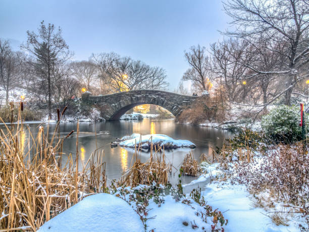 istock Gapstow bridge Central Park, New York City 900420814