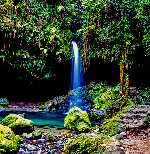 istock Island of Dominica rainforest 900423140