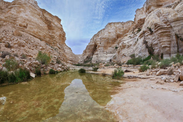 istock Magnificent canyon and creek 900423826