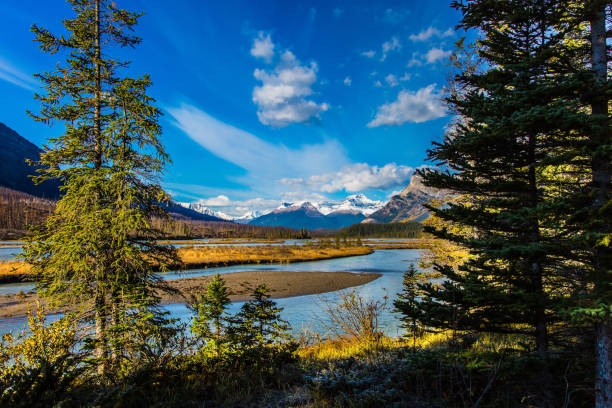 istock The sunny autumn in the Rockies 900423916