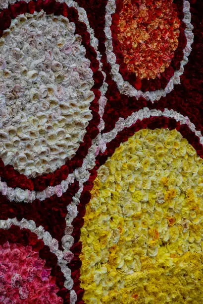 Those roseblooms are arranged as an abstract pattern