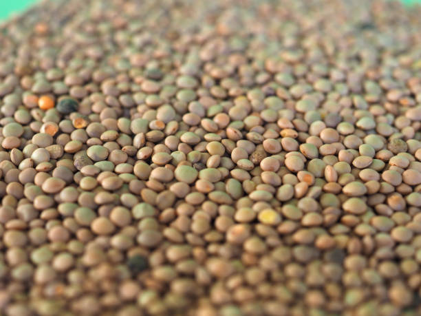 istock lentils pulse grain legume (Lens Culinaris) legumes vegetables food background 900428038