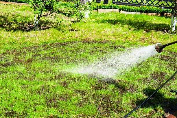 istock Watering the Park lawn grass hose 900431616