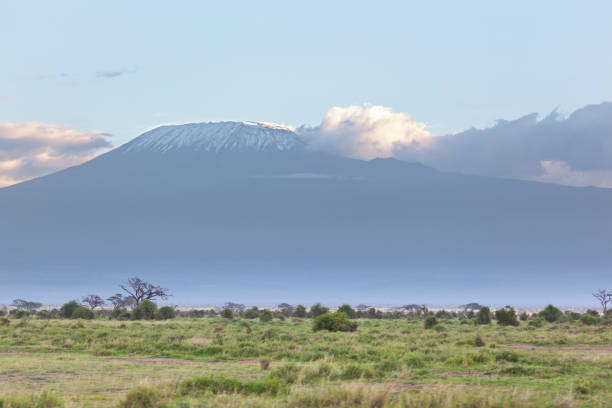 istock Kilimanjaro with snow cap 900431718