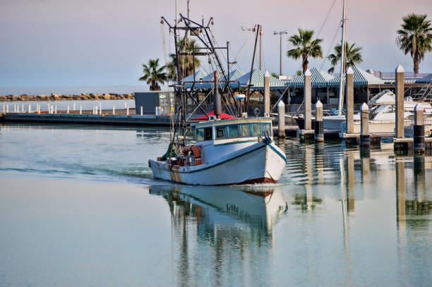 A small fishing boat returning to the harbor after a mornings fishing. Taken in Corpus Christie Texas