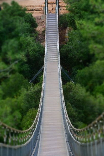 Premium Photo  A bridge in the jungle with a rope bridge in the