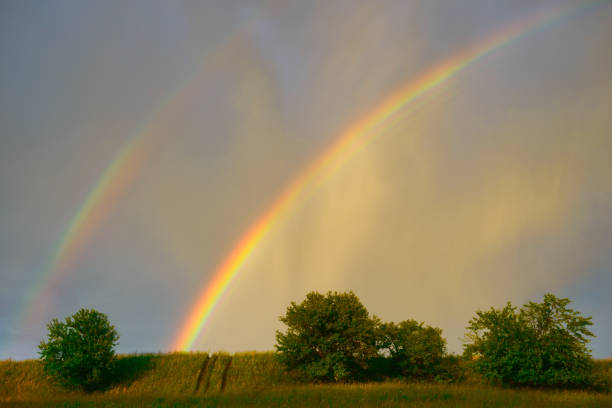 istock rainbow in a blue sky after the rain 900442508