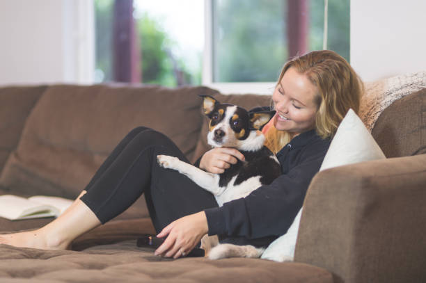 istock The Joy of Living with Pets 900443254