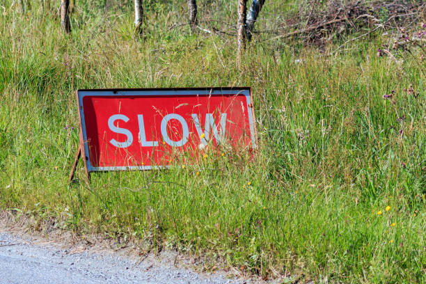 istock Slow warning road sign on roadside verdge 900443514