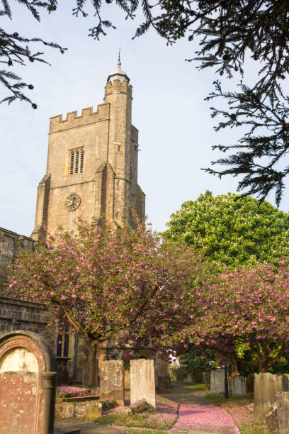 St Nicholas Church in Sevenoaks, England Spring blossoms in St Nicholas Church in Sevenoaks, England norman uk tree sunlight stock pictures, royalty-free photos & images