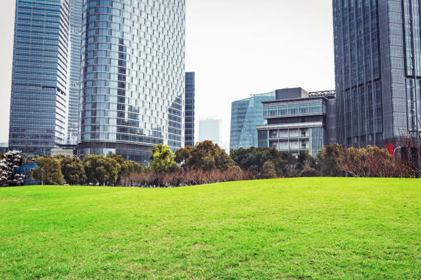 istock Empty floor with modern skyline and buildings 900451190