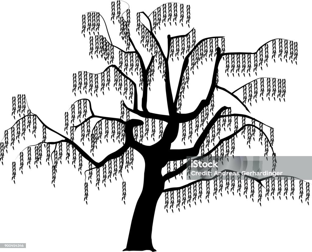 Hình Ảnh Vector Của Một Cái Cây Màu Đen Trắng Hình minh họa Sẵn có ...