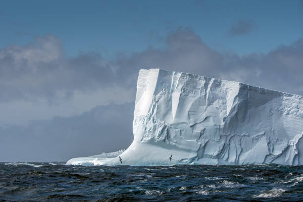 istock Massive tabular iceberg floating in the Southern Ocean in Antarctica 900459180
