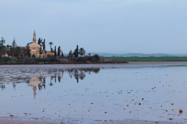istock Hala Sultan Tekke on Larnaca salt-lake in Cyprus- landscape 900462088