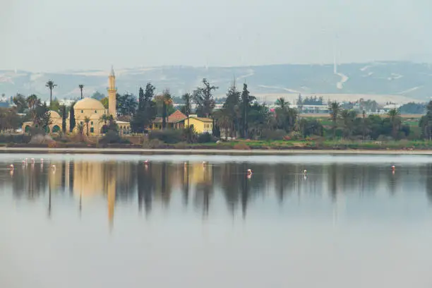 Hala Sultan Tekke on Larnaca salt lake with flamingo birds in the foreground