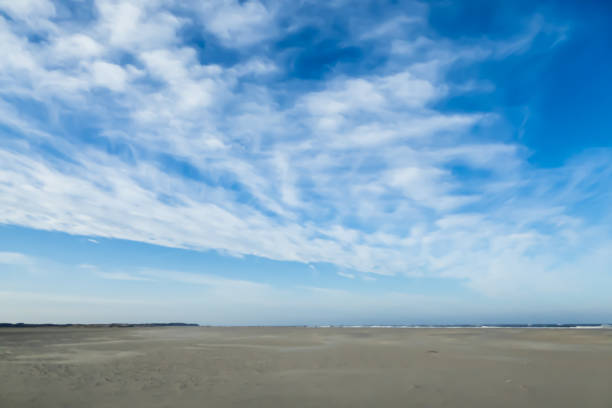 istock Blue sky with wide sandy beach on north sea coast 900476590