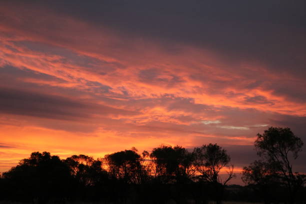 istock Dusk in the outback of Australia 900485578