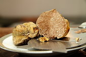 trufa-10.jpg?b=1&s=170x170&k=20&c=ZPiQVS4urbhuee2TPdqyTD0SDQk-OIe8DCmsBCAPCzE=