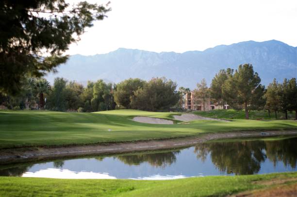 прекрасный день на поле для гольфа - lawn desert golf california стоковые фото и изображения