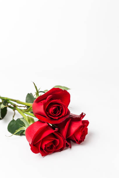 istock Beautiful romantic composition. St. Valentine's Day 900490238