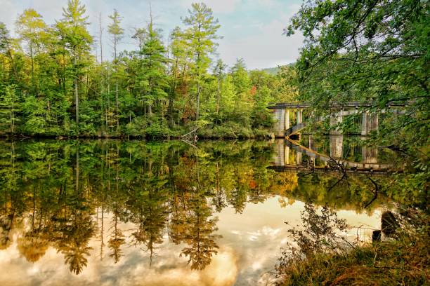 Reflections Bridge and forest reflecting off the water georgia landscape stock pictures, royalty-free photos & images