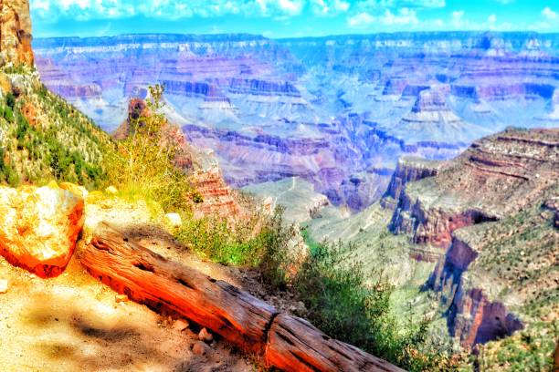 istock Grand Canyon National Forest Park landscape 900505642