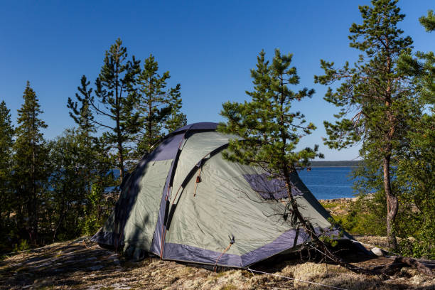 istock Camping tent standing on beautiful lake coastline. 900505950
