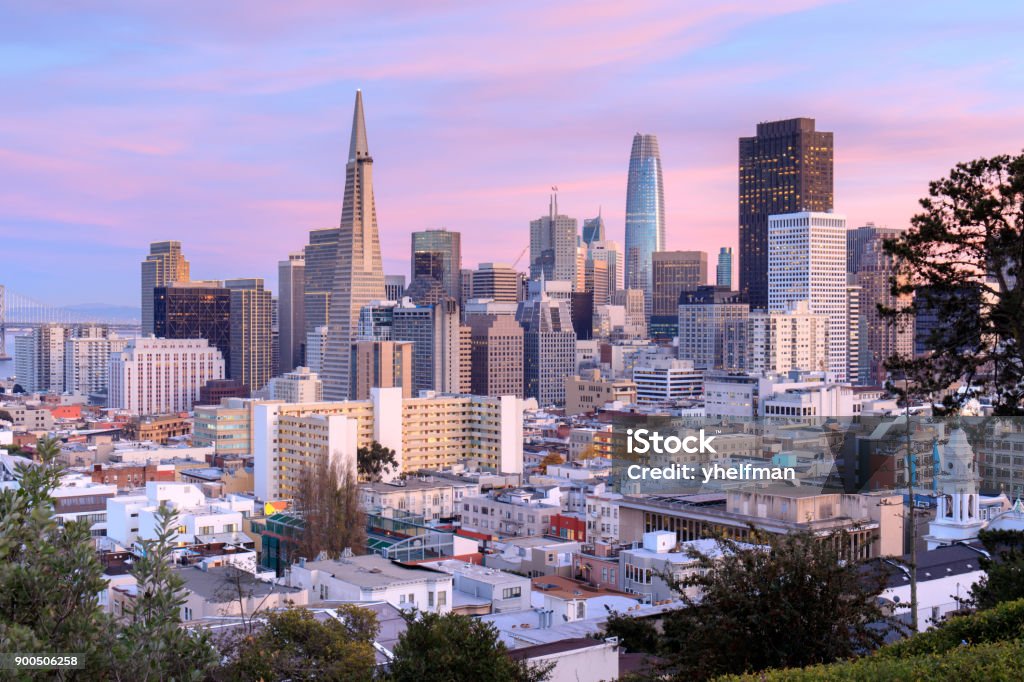 San Francisco Skyline in Pink and Blue Skies Ina Coolbrith Park, San Francisco, California, USA. San Francisco - California Stock Photo