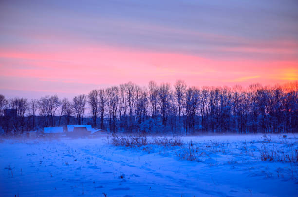 istock Winter Landscape with Snowy Forest at sunset 900506312