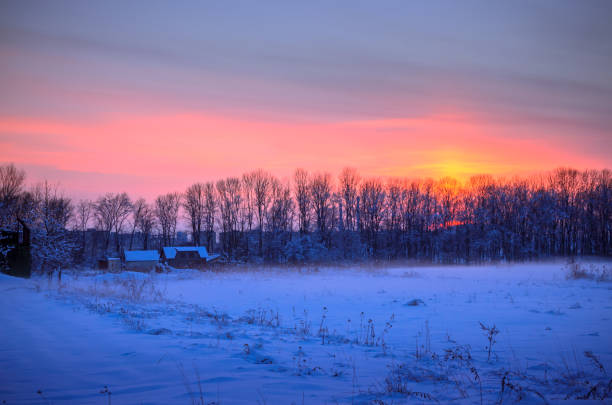 istock Winter Landscape with Snowy Forest at sunset 900506316