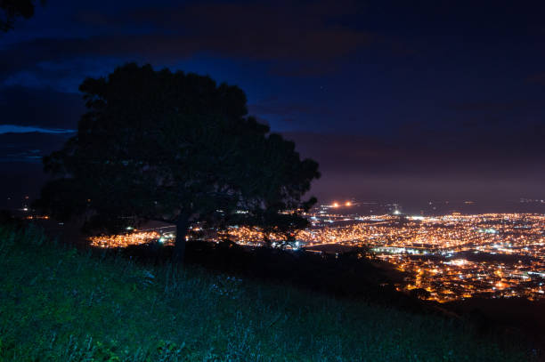 istock The tree and the city. 900511966