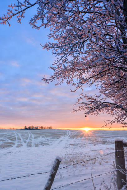 istock Frosty sunlit morning in the countryside 900522658