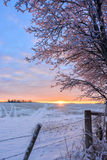 istock Frosty sunlit morning in the countryside 900522660