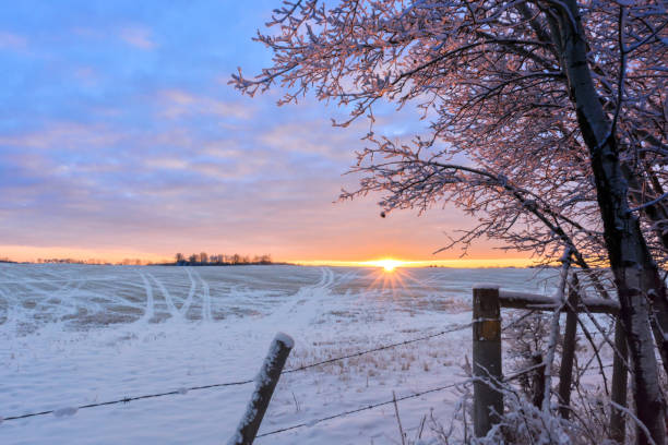 istock Frosty sunlit morning in the countryside 900522738