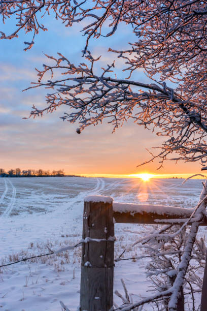 istock Frosty sunlit morning in the countryside 900522740