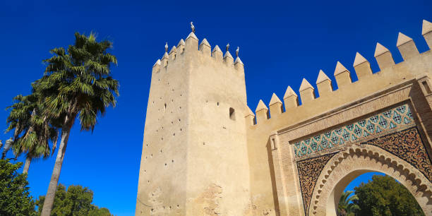 istock Bab Al Amer in Fes 900522840