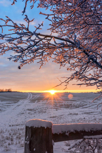 istock Frosty sunlit morning in the countryside 900522886