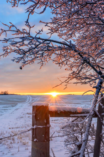 istock Frosty sunlit morning in the countryside 900522998