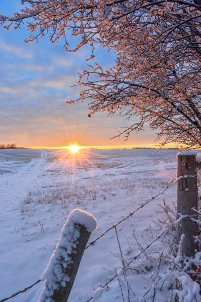 istock Frosty sunlit morning in the countryside 900523016
