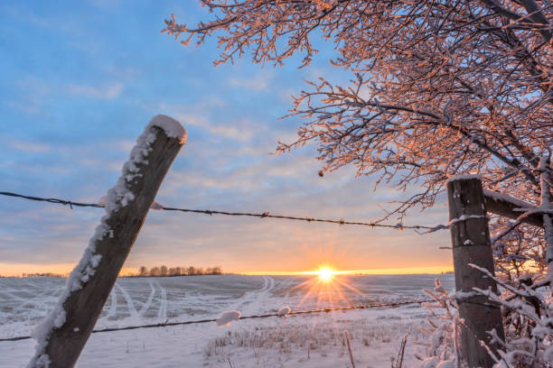 istock Frosty sunlit morning in the countryside 900523088