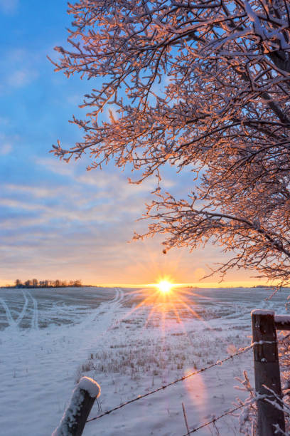 istock Frosty sunlit morning in the countryside 900523308