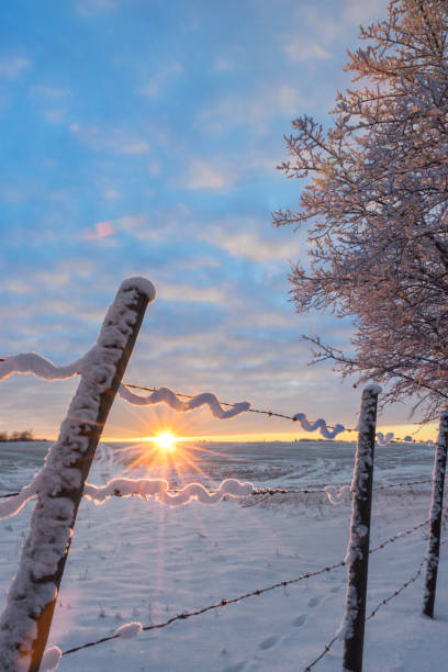 istock Frosty sunlit morning in the countryside 900523428